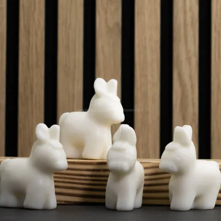 Pack de 5 Bébés ânes  par Bell'ânesse en Provence